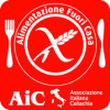 logo AIC